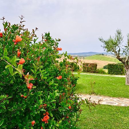 Agriturismo Caliano Asciano Extérieur photo