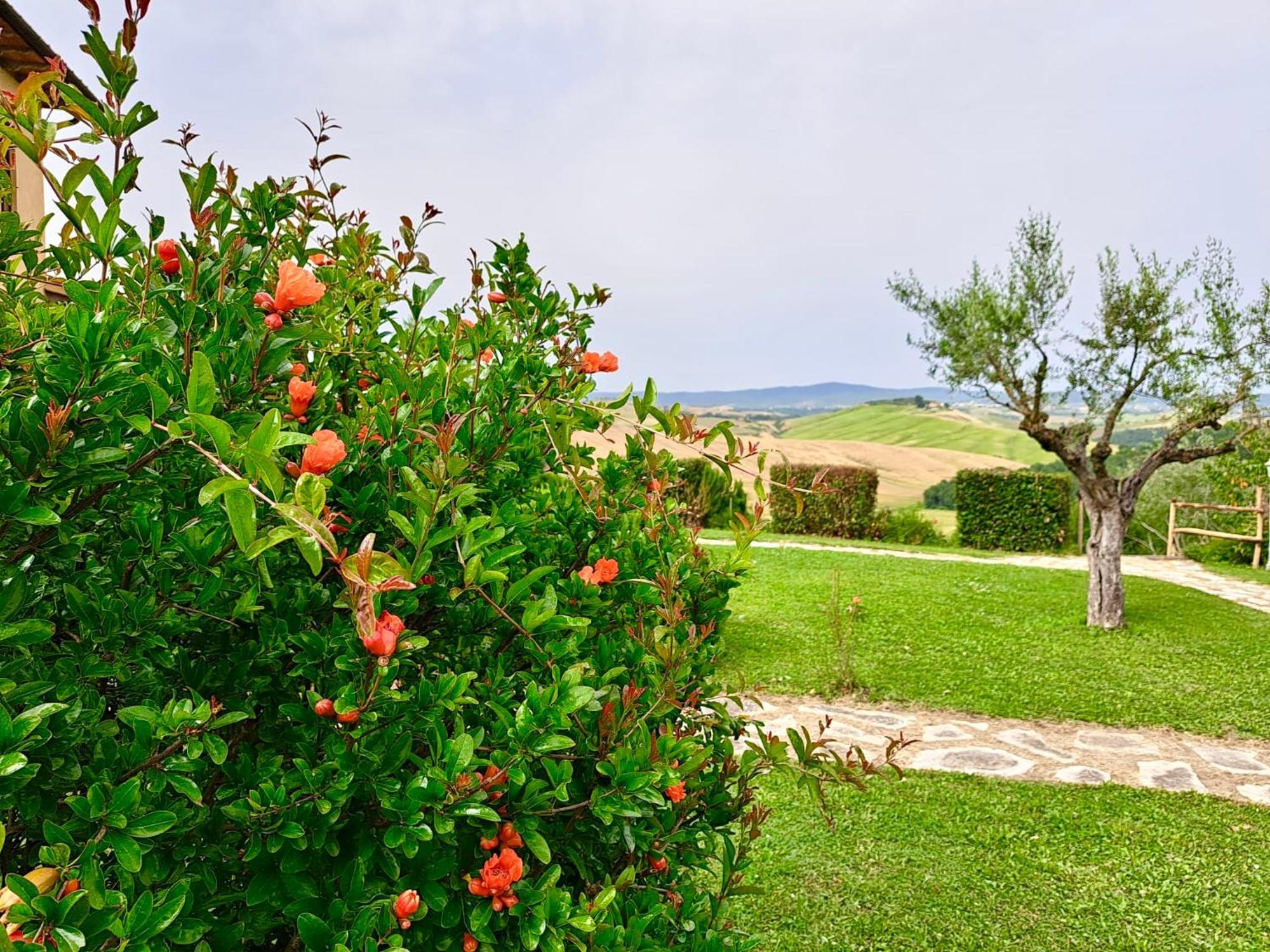 Agriturismo Caliano Asciano Extérieur photo