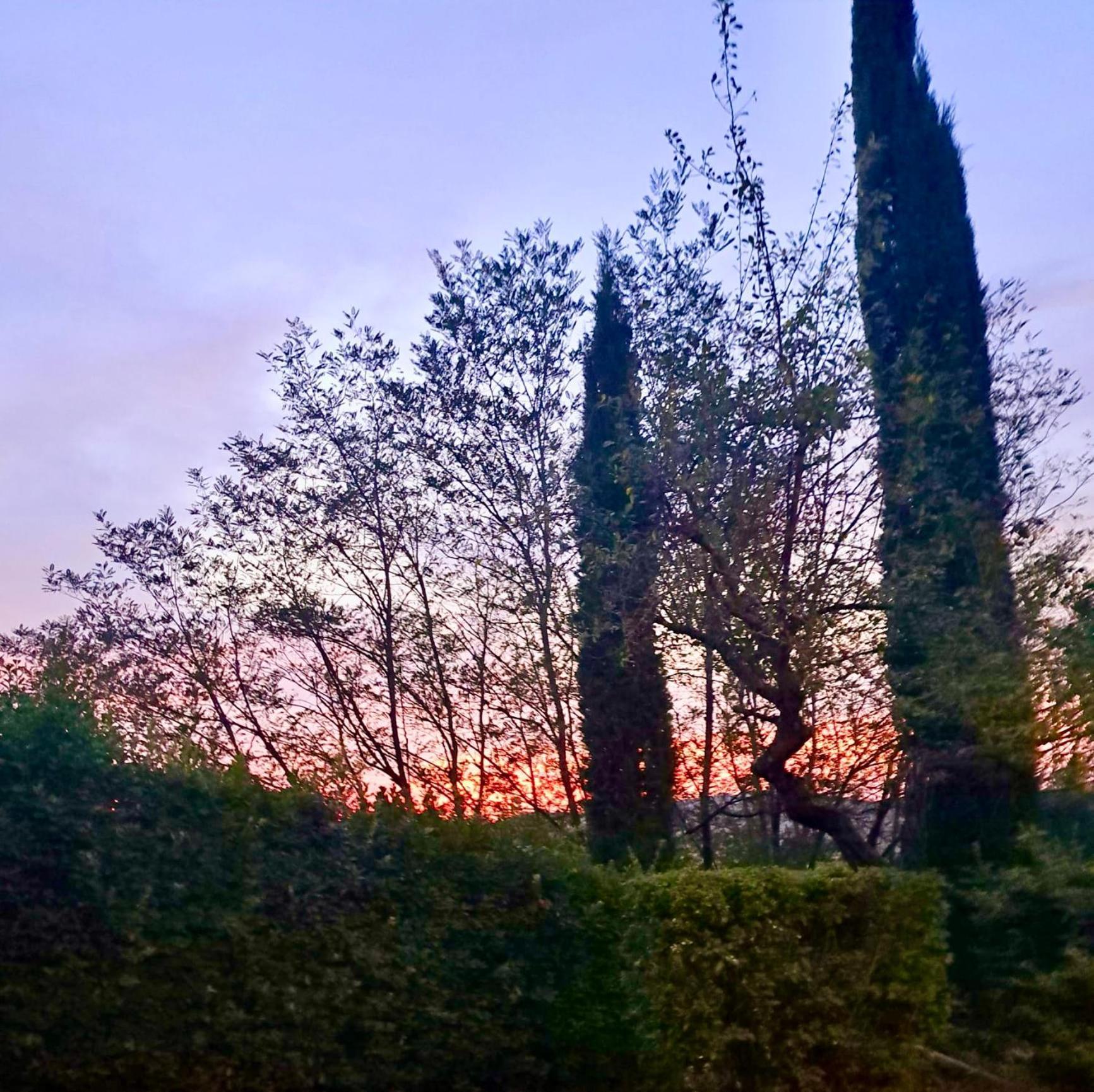 Agriturismo Caliano Asciano Extérieur photo
