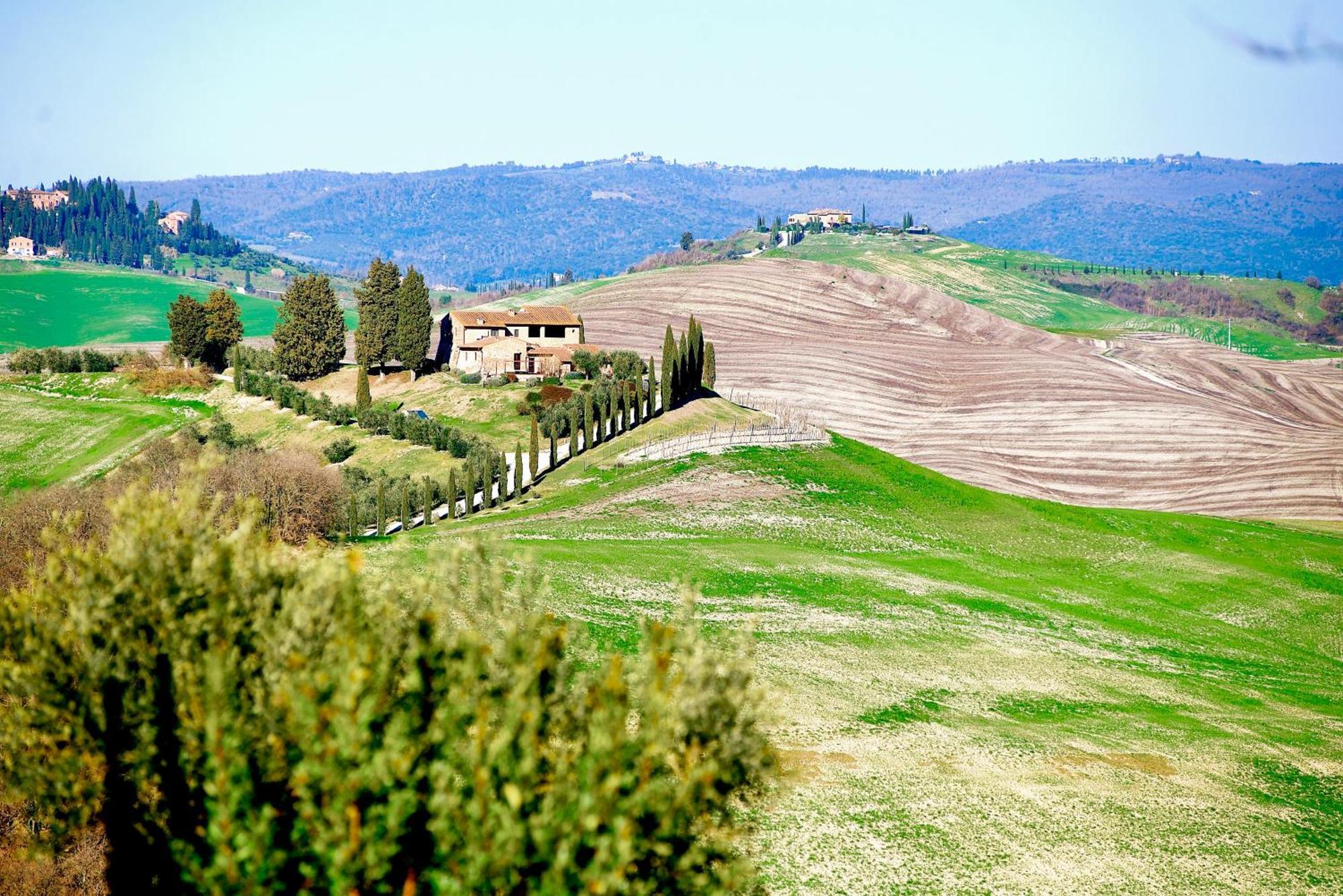 Agriturismo Caliano Asciano Extérieur photo