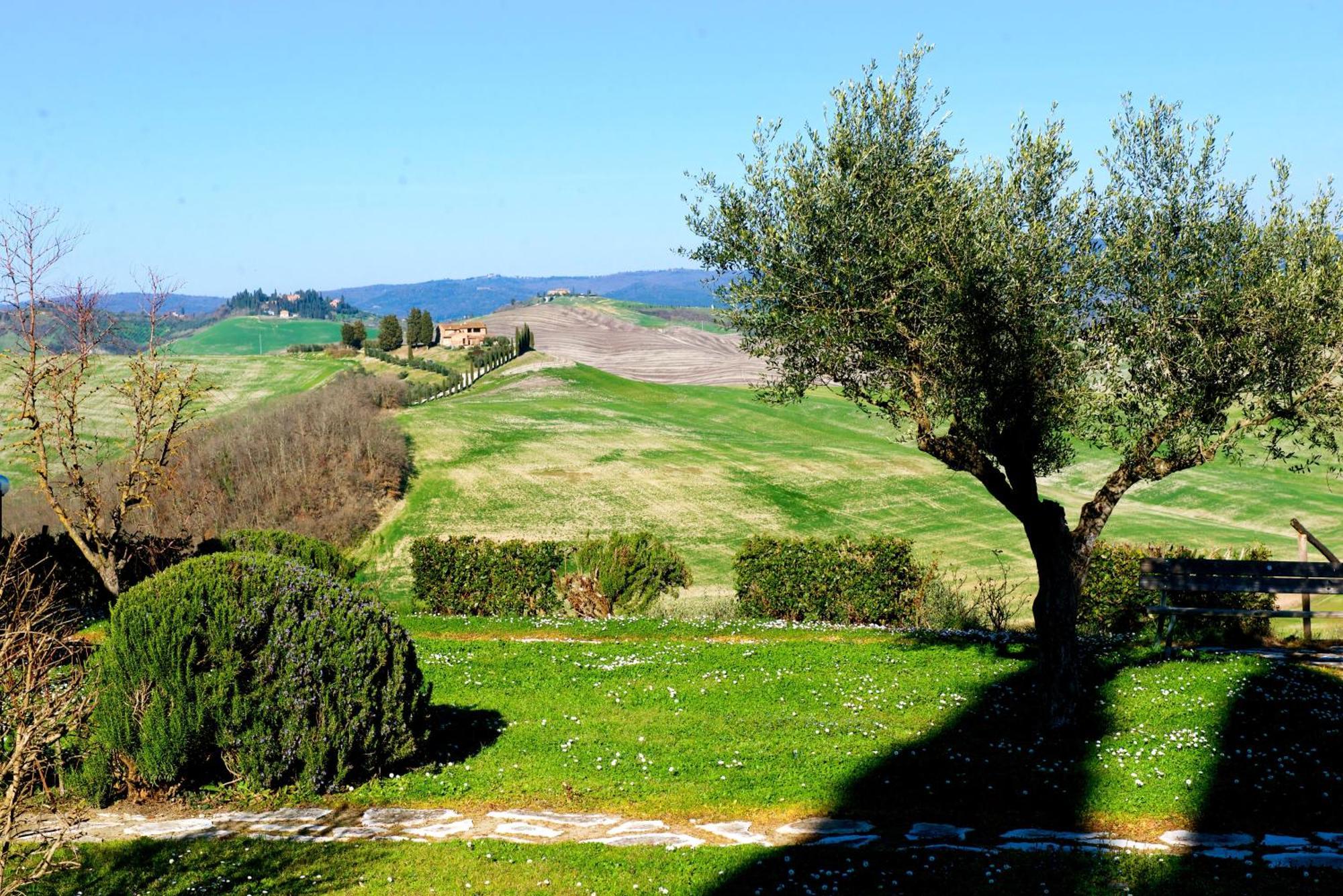 Agriturismo Caliano Asciano Extérieur photo